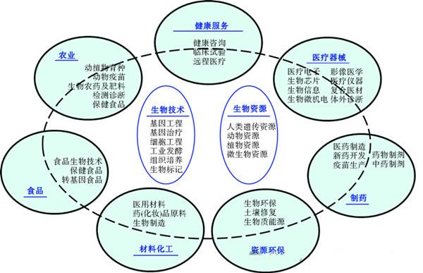 我国生物经济规模,山东一诺生物